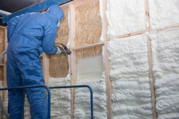 Reliable Washington Park, FL Insulation Removal & Installation Solutions